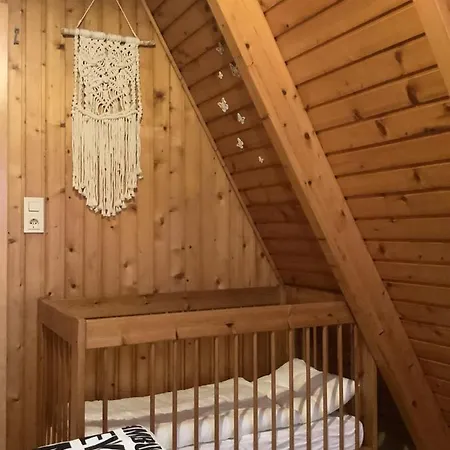 Sonnenblume,nordseebad *