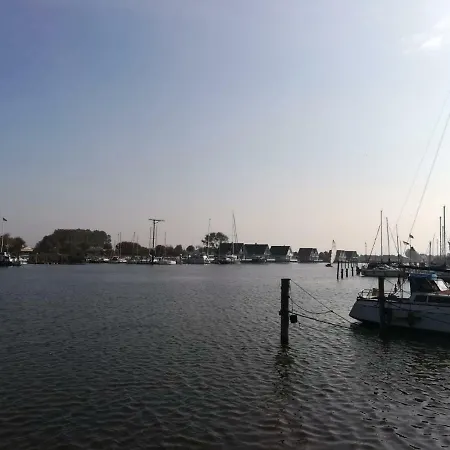 Sonnenblume,nordseebad Carolinensiel