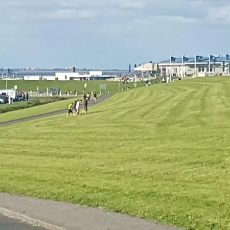 Sonnenblume,nordseebad Carolinensiel